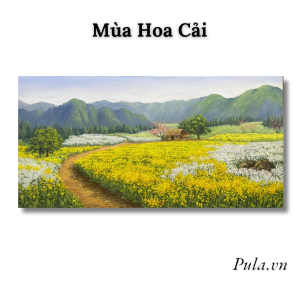 Tranh Vẽ Phong Cảnh Mùa Hoa Cải