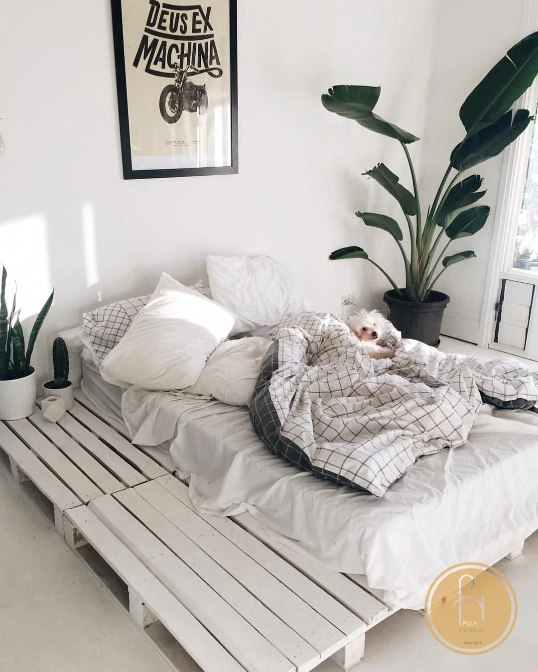 Trang trí giường ngủ bằng gỗ Pallet