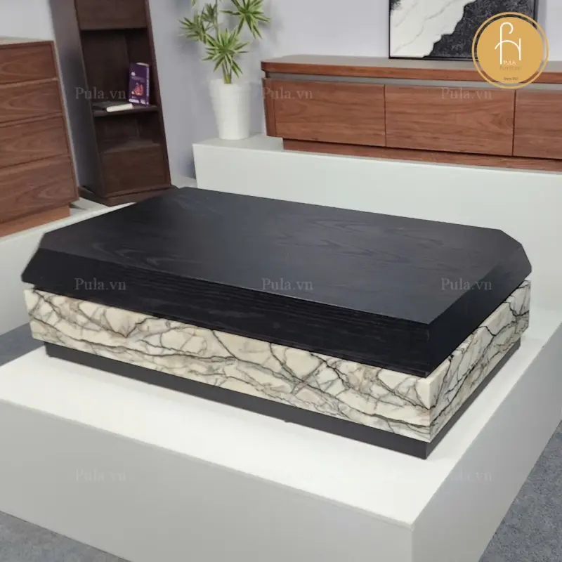 B&agrave;n tr&agrave; chữ nhật 2 khối BT100