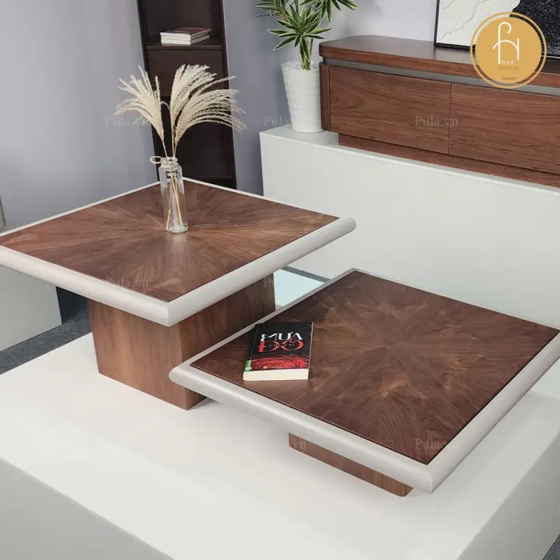 Bộ b&agrave;n tr&agrave; gỗ vu&ocirc;ng c&oacute; viền BT111