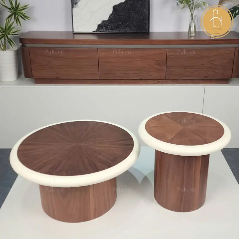 Bộ b&agrave;n tr&agrave; gỗ tr&ograve;n c&oacute; viền BT113