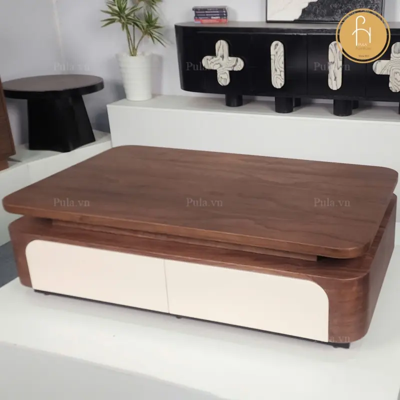 B&agrave;n tr&agrave; gỗ chữ nhật hiện đại BT105