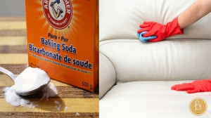 Sử dụng bột baking soda để vệ sinh sofa da 