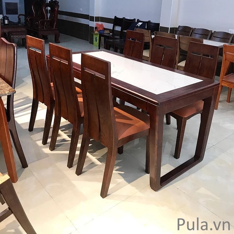 Ghế ăn Pula GA06-C