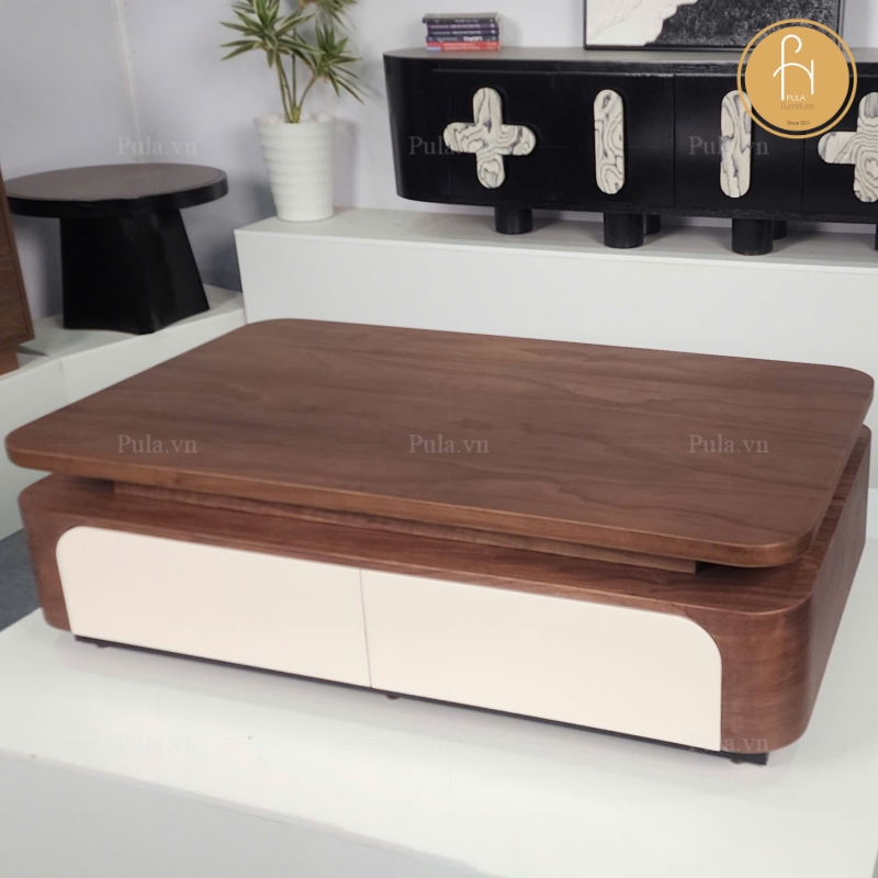 Bàn trà gỗ chữ nhật hiện đại BT105