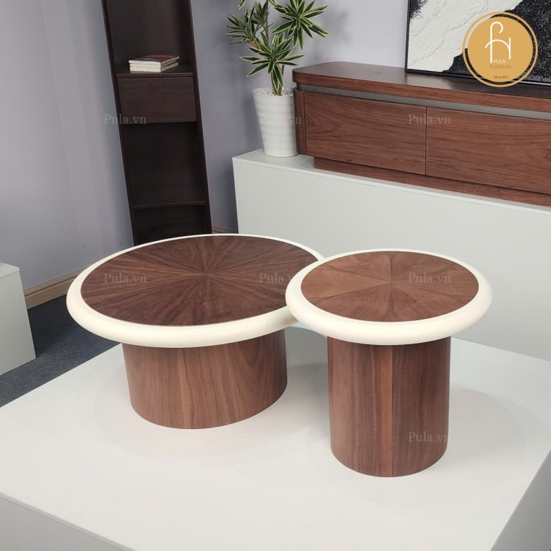 Bộ bàn trà gỗ tròn có viền BT113
